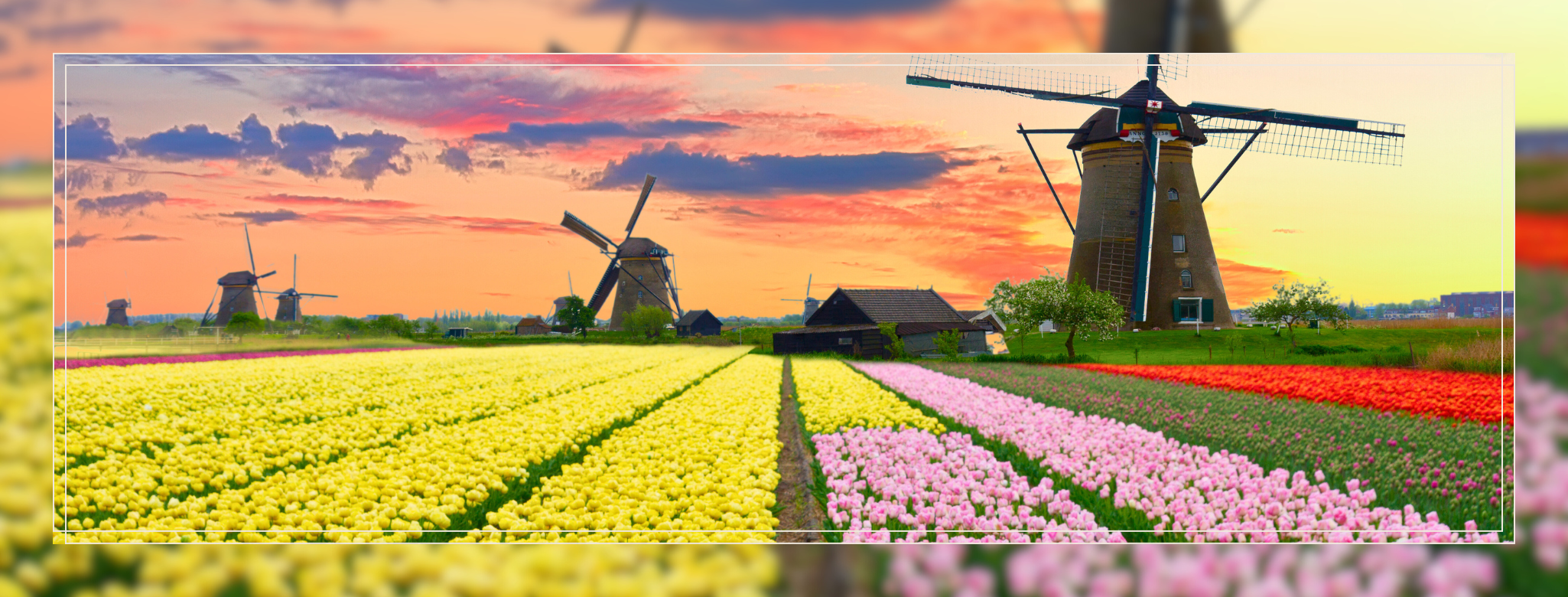 Blog Img