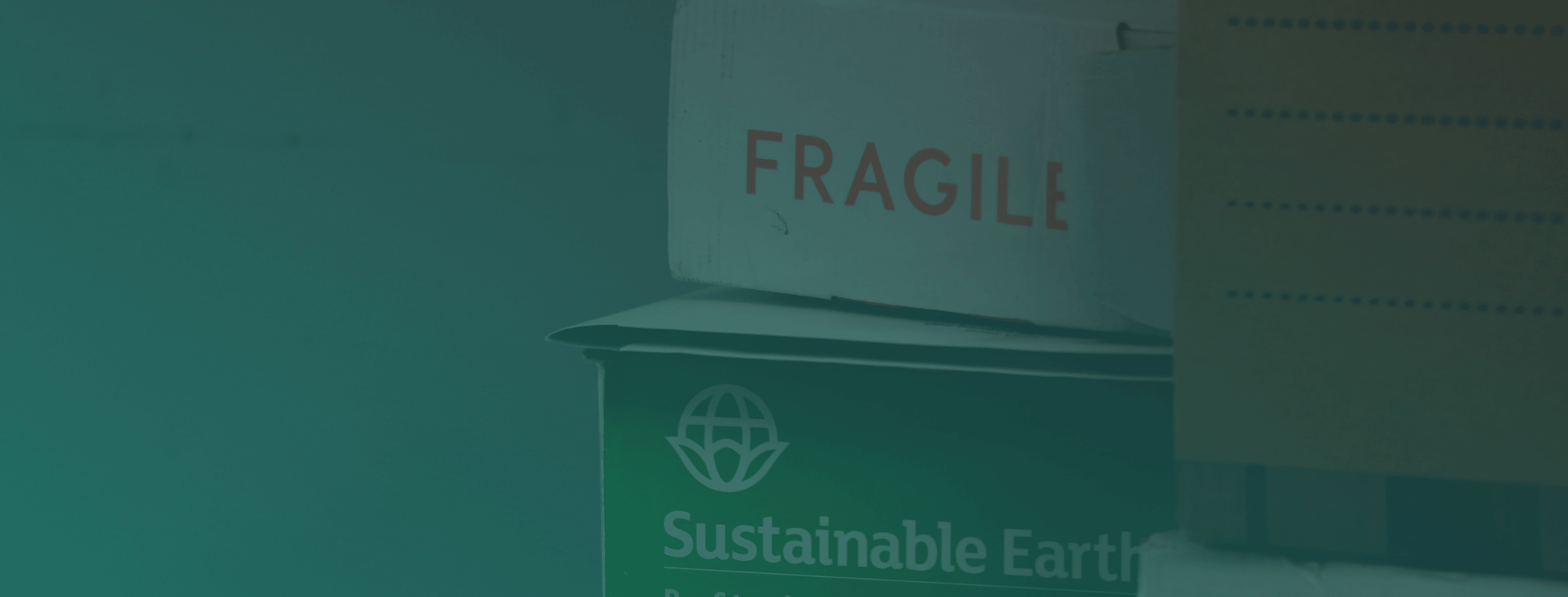 Environmentally Sustainable Relocation Tips for Your Career Start Abroad